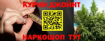молекула духа Новозыбков