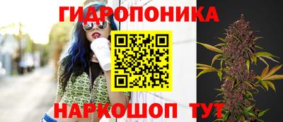 ГАЛЛЮЦИНОГЕННЫЕ ГРИБЫ Новокубанск