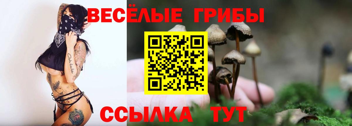Галлюциногенные грибы Magic Shrooms Тулун